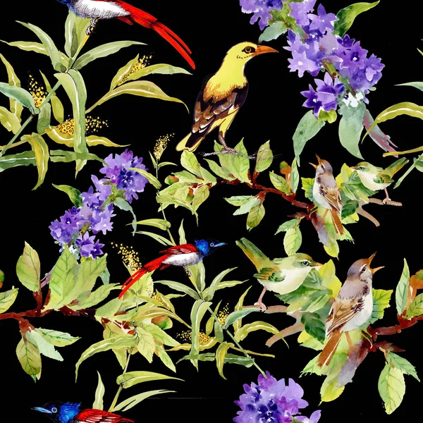紫色花朵上有鸟的无缝图案 — 图库照片