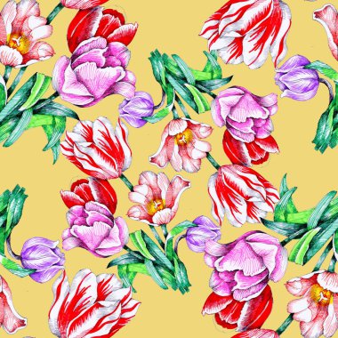  güzel renkli Lale ile Seamless Modeli
