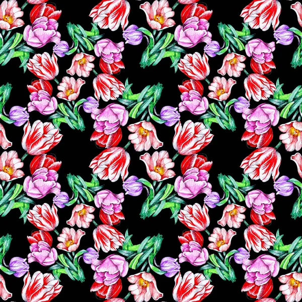  seamless pattern with beautiful colorful tulips