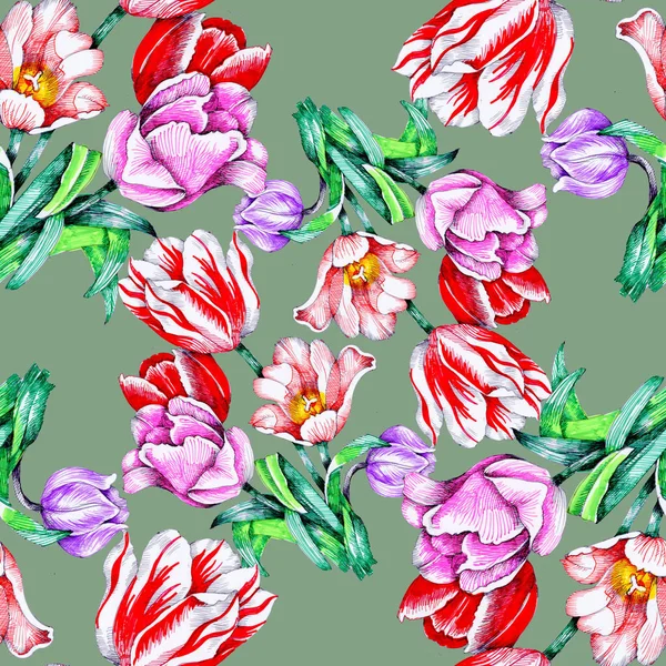 Motif Sans Couture Avec Belles Tulipes Colorées — Photo