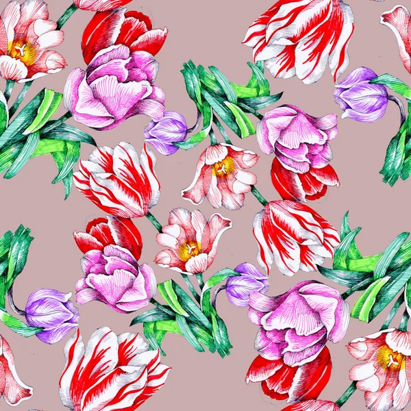 Motif Sans Couture Avec Belles Tulipes Colorées — Photo