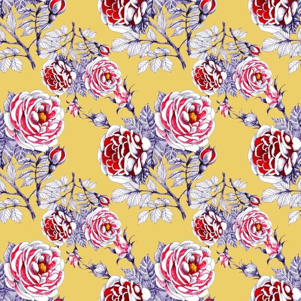 Seamless Pattern Beautiful Roses Leaves — Stock Photo, Image