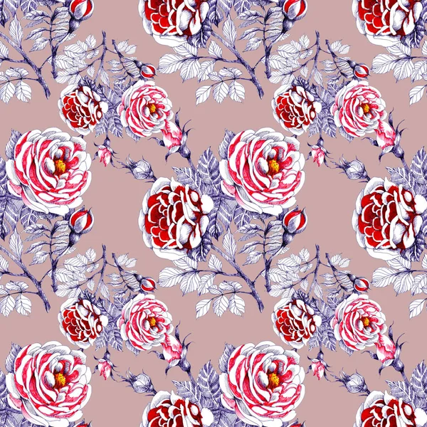 Seamless Pattern Beautiful Roses Leaves — Stock Photo, Image