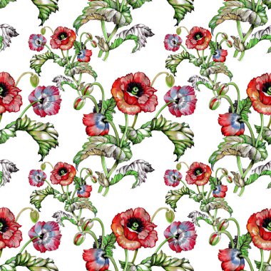  Güzel haşhaş çiçekleri ile Seamless Modeli