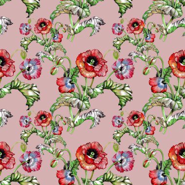  Güzel haşhaş çiçekleri ile Seamless Modeli