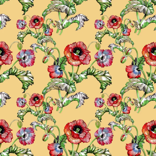 Naadloze Patroon Met Prachtige Poppy Bloemen — Stockfoto