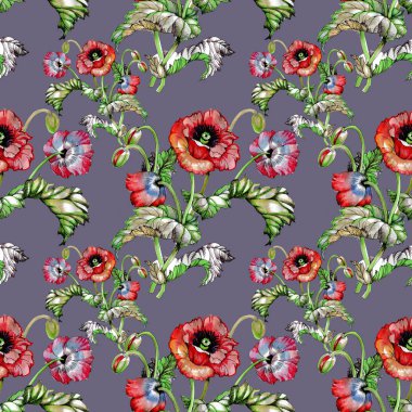  Güzel haşhaş çiçekleri ile Seamless Modeli