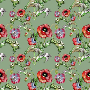  Güzel haşhaş çiçekleri ile Seamless Modeli