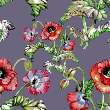  Güzel haşhaş çiçekleri ile Seamless Modeli