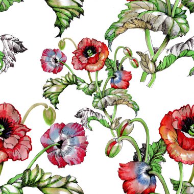  Güzel haşhaş çiçekleri ile Seamless Modeli