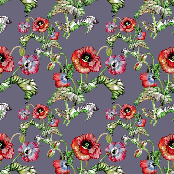  Güzel haşhaş çiçekleri ile Seamless Modeli