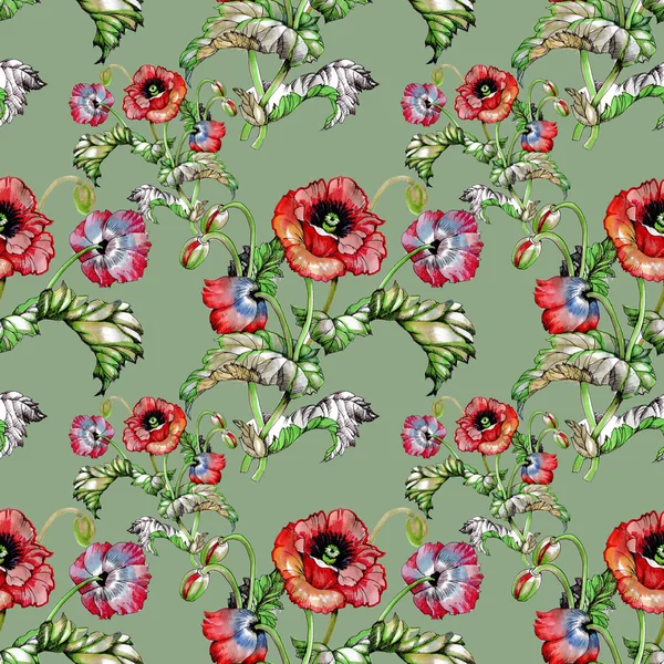  Güzel haşhaş çiçekleri ile Seamless Modeli