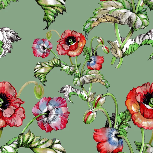 Patrón Sin Costuras Con Hermosas Flores Amapola —  Fotos de Stock