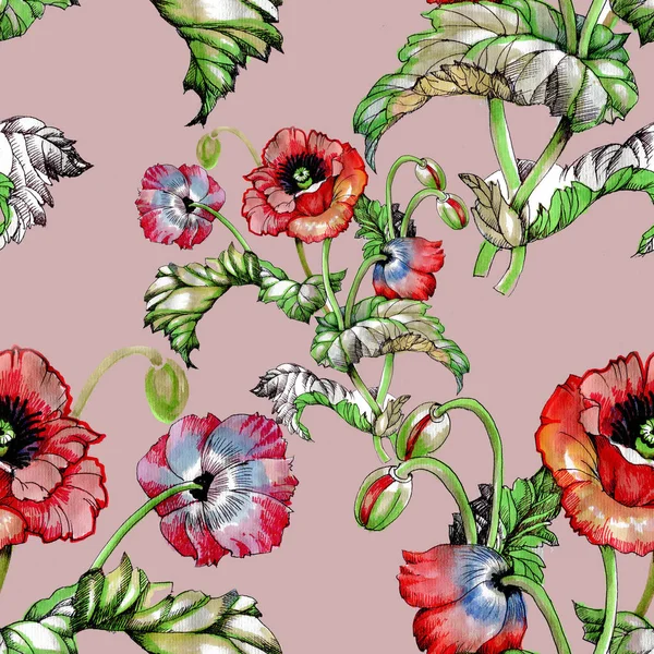 Patrón Sin Costuras Con Hermosas Flores Amapola —  Fotos de Stock