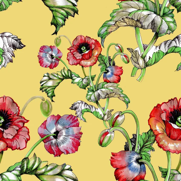  seamless pattern with beautiful poppy flowers