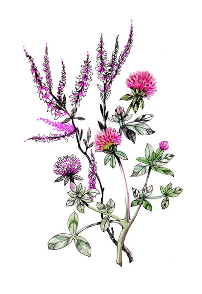 Hand Drawn Watercolor Wildflowers — Stock Photo, Image