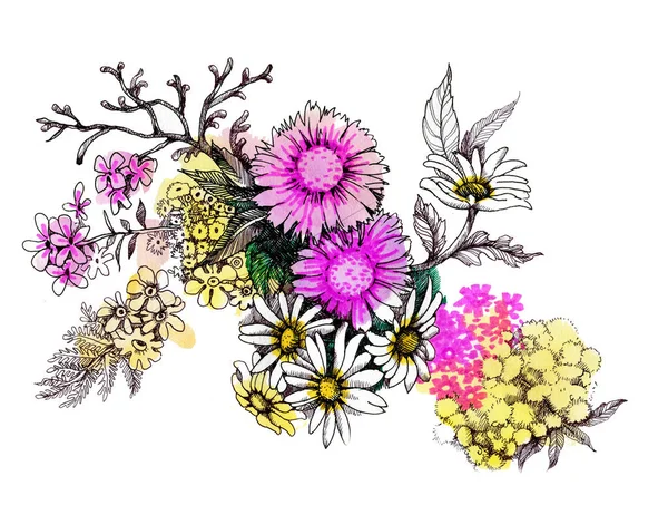 Hand Getekend Aquarel Wilde Bloemen — Stockfoto