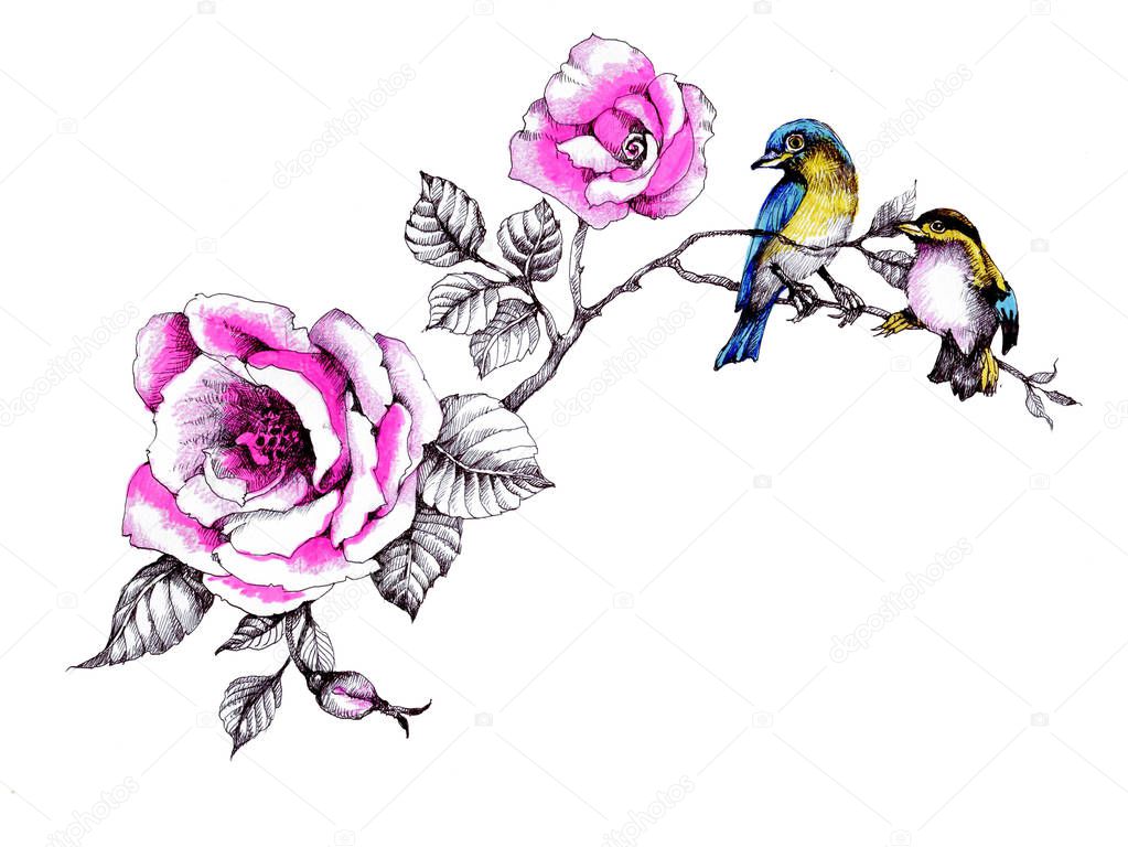 Watercolor garden blooming roses and birds