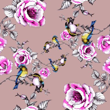 yaban gülü dallarında kuşlarda