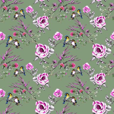 yaban gülü dallarında kuşlarda