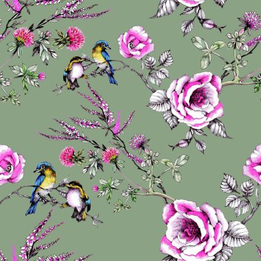 yaban gülü dallarında kuşlarda