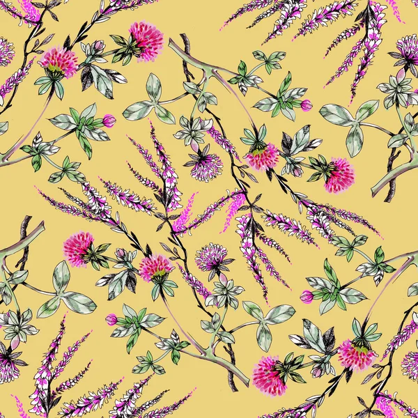 Μοτίβο Όμορφα Πολύχρωμα Αγριολούλουδα — Φωτογραφία Αρχείου