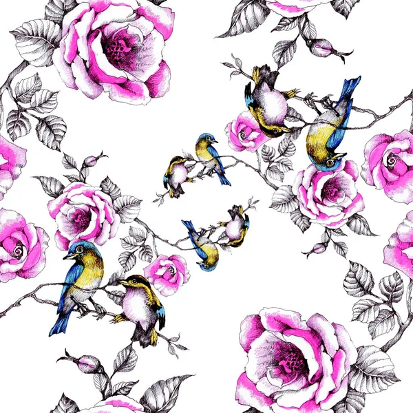 yaban gülü dallarında kuşlarda