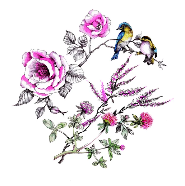 yaban gülü dallarında kuşlarda