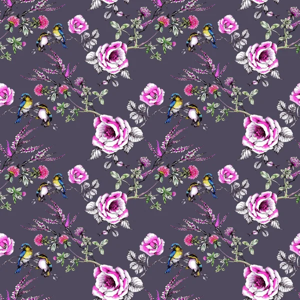 yaban gülü dallarında kuşlarda