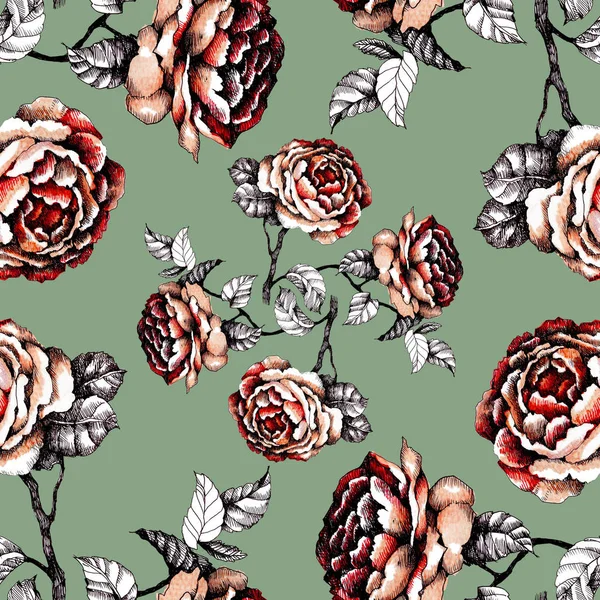 Patrón Dibujado Mano Con Hermosas Rosas — Foto de Stock