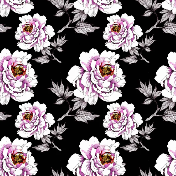 Pattern Beautiful Roses — Stock Photo, Image