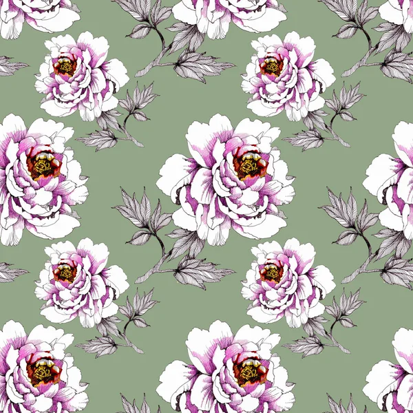 Pattern Beautiful Roses — Stock Photo, Image