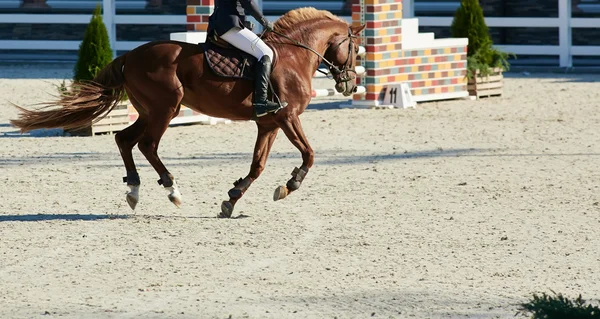 Rider på bay häst i tävlingar — Stockfoto