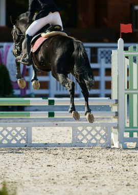 Binici yarışmalarda defne atlı