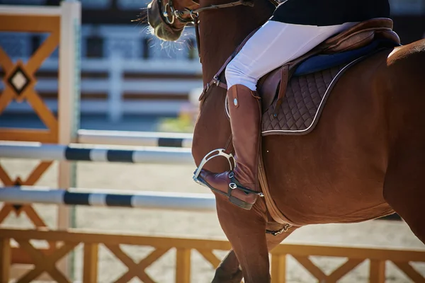 Gli sport equestri — Foto Stock