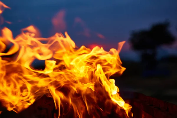 Fire flames background — Stock Photo, Image