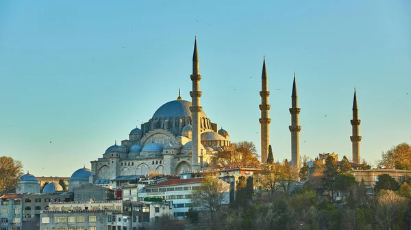 Suleymaniye moskén är en ottomansk kejserlig moské i Istanbul, Turkiet. Det är stadens största moské.. — Stockfoto