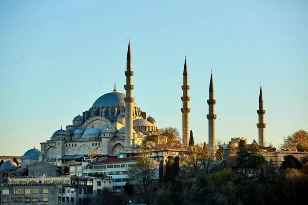 Suleymaniye moskén är en ottomansk kejserlig moské i Istanbul, Turkiet. Det är stadens största moské.. — Stockfoto