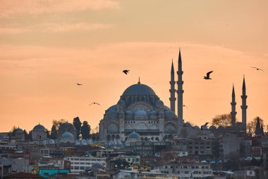 The beautiful Suleymaniye Camii Istanbul, Turkey. clipart