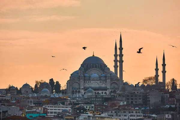 Η όμορφη Σουλεϊμάνιγιε Camii Κωνσταντινούπολη, Τουρκία. — Φωτογραφία Αρχείου