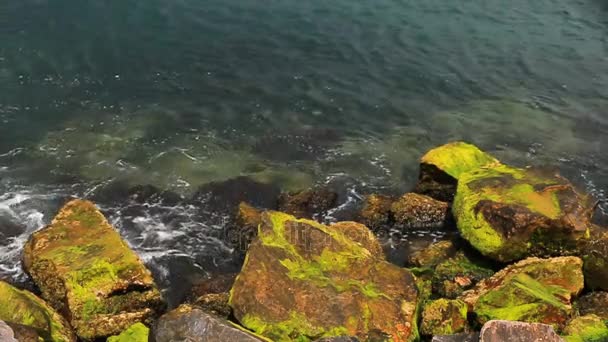 Framifrån av havet vågor bryta på klippor i solnedgången — Stockvideo