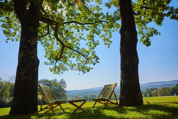 Χαλαρώστε με ξύλινη καρέκλα και το τραπέζι. Απολαύστε τη θέα του δάσους στον κήπο — Φωτογραφία Αρχείου