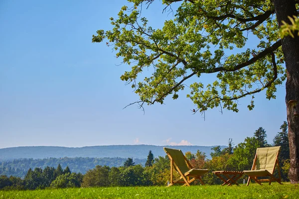 Ahşap sandalye ve masa ile rahatlayın. Bahçe orman manzarasının keyfini çıkarın — Stok fotoğraf