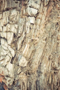 çok eski ahşap arka plan. yumuşak odak.