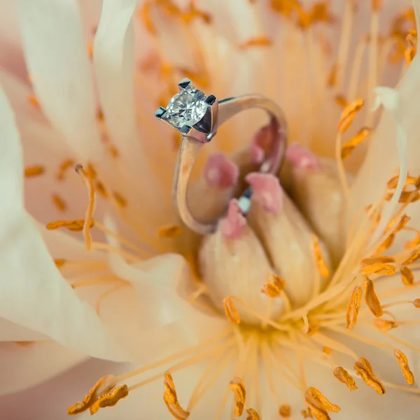 结婚戒指躺在一束漂亮的花束上作为新娘的饰物 — 图库照片