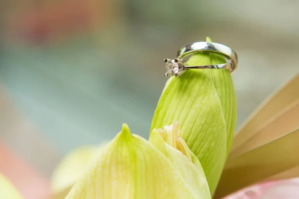 Wedding rings lie on a beautiful bouquet as bridal accessories — Stock Photo, Image