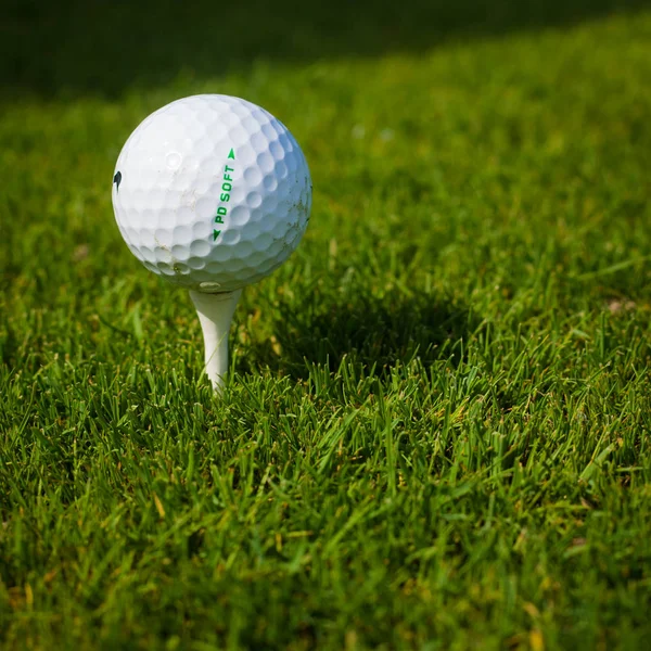 Bola de golfe em um T contra o campo de golfe com espaço de cópia — Fotografia de Stock
