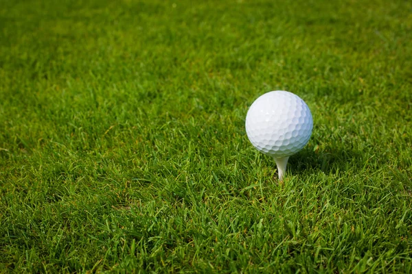 Pallina da golf su un tee contro il campo da golf con spazio copia — Foto Stock