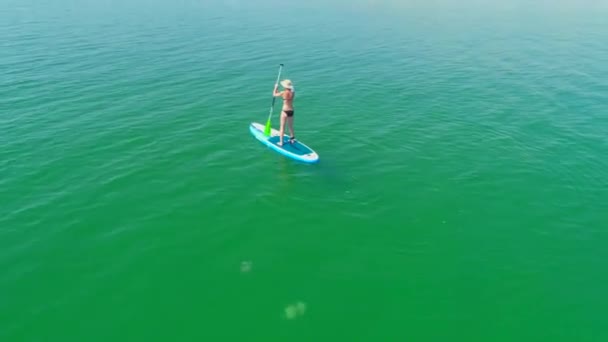 Mulher atraente em Stand Up Paddle Board, SUP, Oceano tropical — Vídeo de Stock