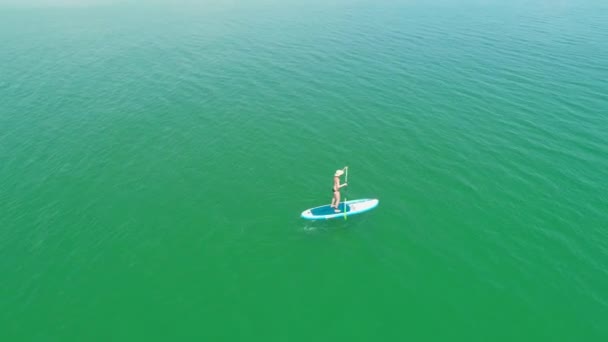 Mulher atraente em Stand Up Paddle Board, SUP, Oceano tropical — Vídeo de Stock